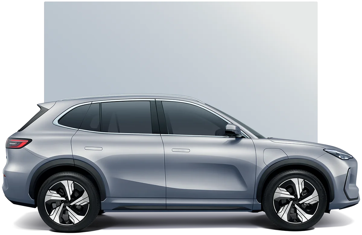 Proton e.MAS 7 — Platinum Silver